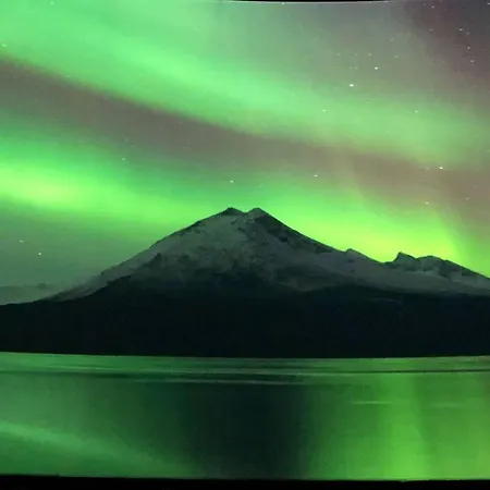 Northern Light * Tromsø