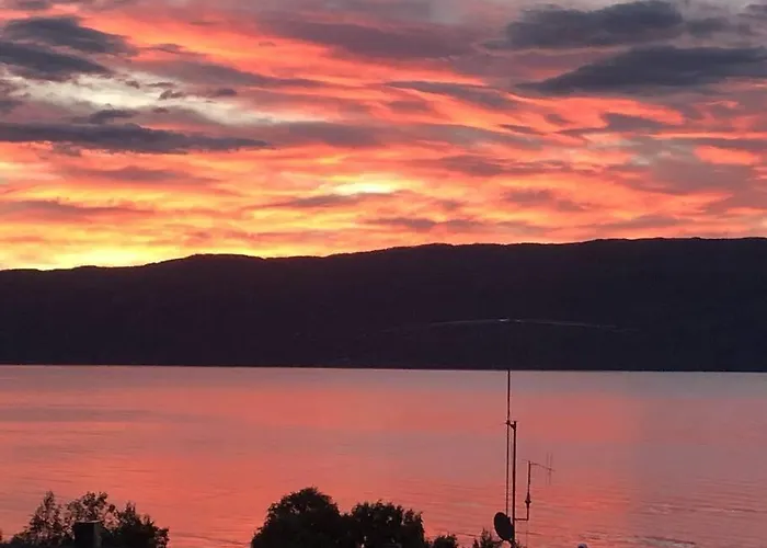 Northern Light Tromsø